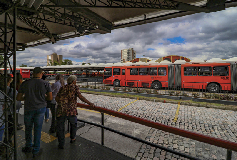 Curitiba Inova: Pets Liberados nos Ônibus Municipais, Mas Atenção às Regras!
