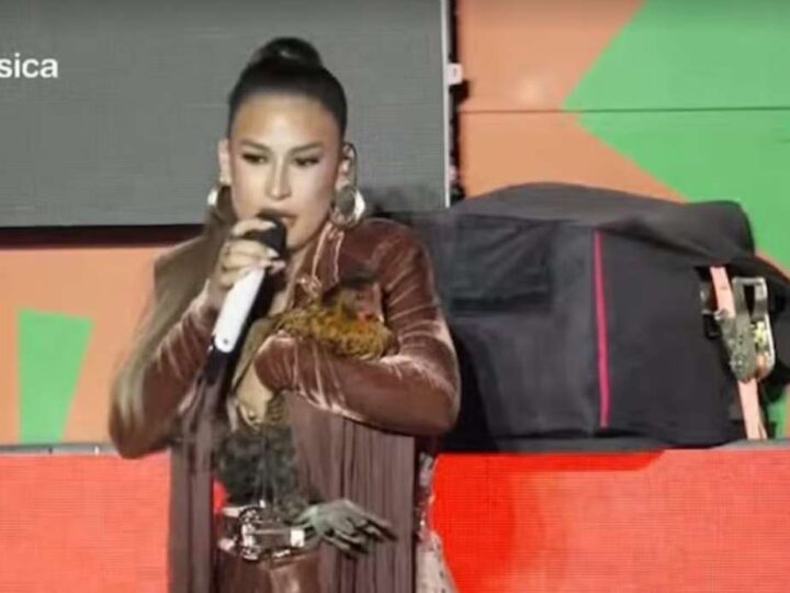 Simone Mendes ganha galinha de fã enquanto cantava em show