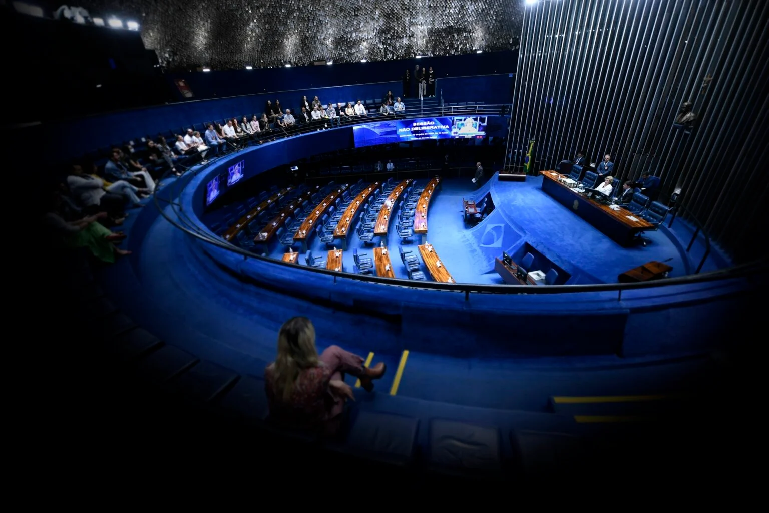 Senado Avança na Igualdade de Gênero: Aprovada Cota de 30% para Mulheres em Conselhos de Estatais