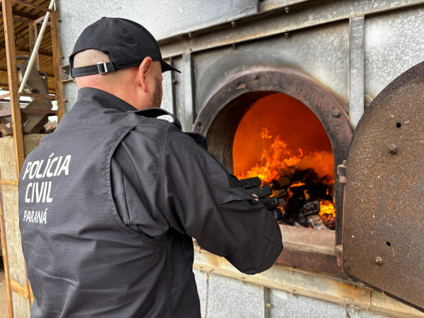 PCPR incinera mais de 700 quilos de drogas em Palmeira