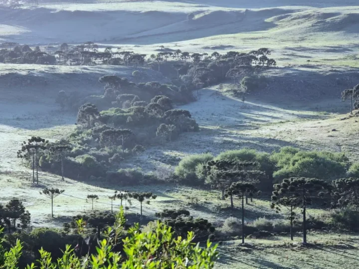 Inverno Rigoroso: Sul do Brasil se Prepara para Possível Neve com a Chegada da Frente Fria
