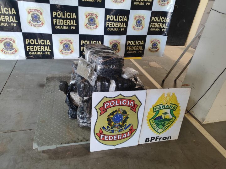 PF e BPFRON realizam prisão de homem com 47kg de maconha artesanal