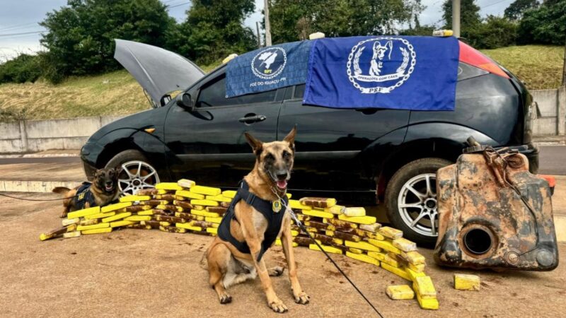 PRF apreende mais de 191 quilos de maconha e arma de fogo durante início do feriado de Corpus Christi no Paraná