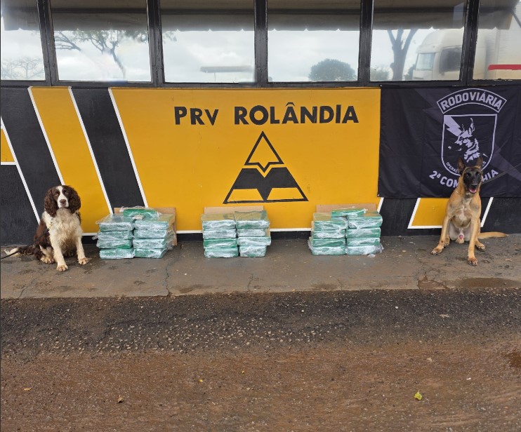 Cães farejadores auxiliam policiais e encontrar mais de 90 kg de maconha em ônibus