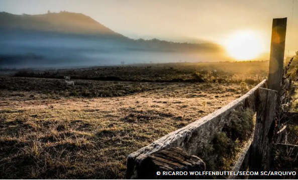 Serra Catarinense tem sensação térmica de 29 ºC negativos