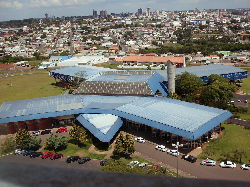 Desembarque em Guarapuava Revela Esquema de Descaminho: Passageira Desmaia e Carga Ilegal é Descoberta