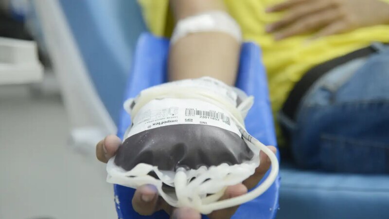 Doação de Sangue: INCA Alerta para a Essencial Necessidade no Tratamento Oncológico