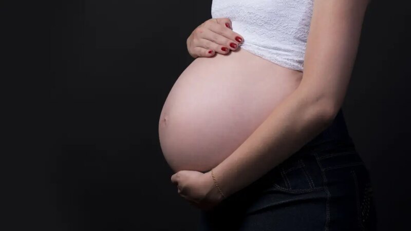 Censo Demográfico Revela: Brasil Alerta para Queda na Taxa de Natalidade e Atraso na Maternidade