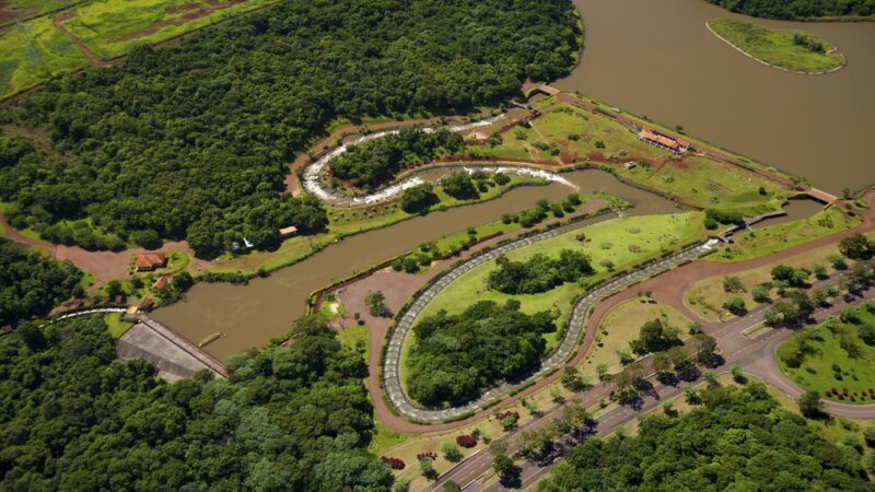 Peixes Percorrem Distância Recorde no Rio Paraná, Revelando Saúde do Reservatório de Itaipu