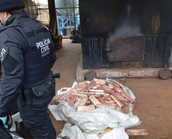 PCPR incinera 785 quilos de drogas em Francisco Beltrão
