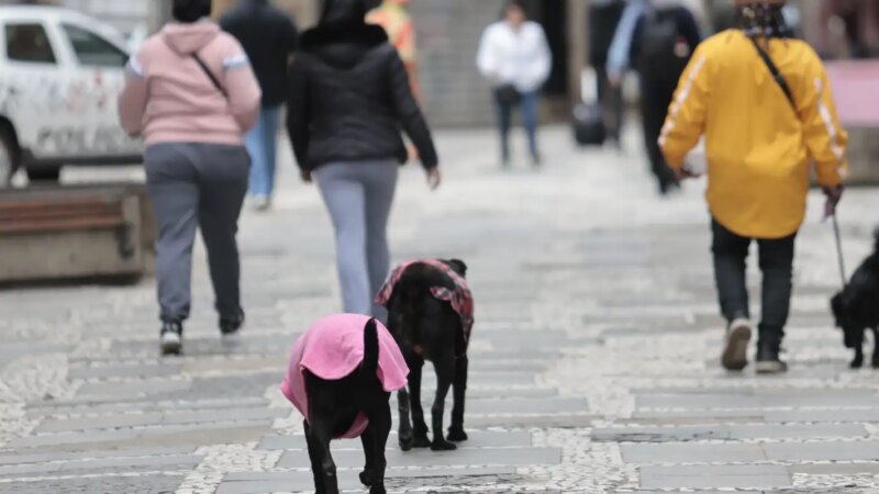 Itatiaia Congela: Parque Nacional Registra Recorde de Frio com -9,4°C