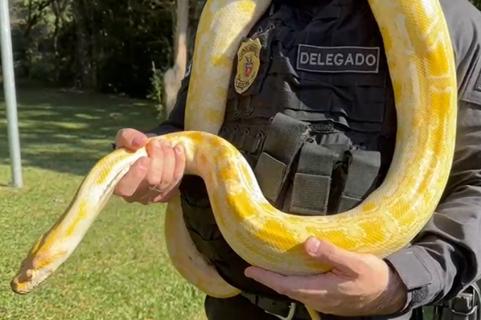 PCPR resgata mil animais em operação contra tráfico internacional de espécies