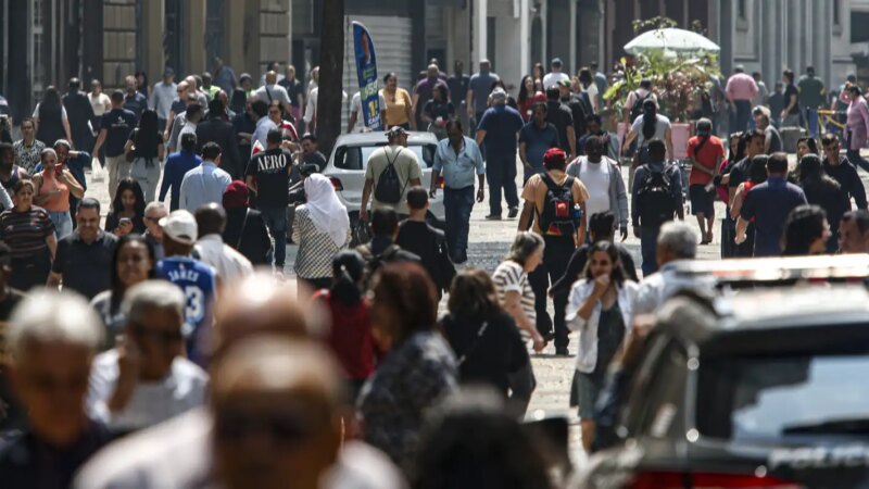 Governo Federal Destina 8% das Vagas em Contratações Públicas para Mulheres Vítimas de Violência Doméstica