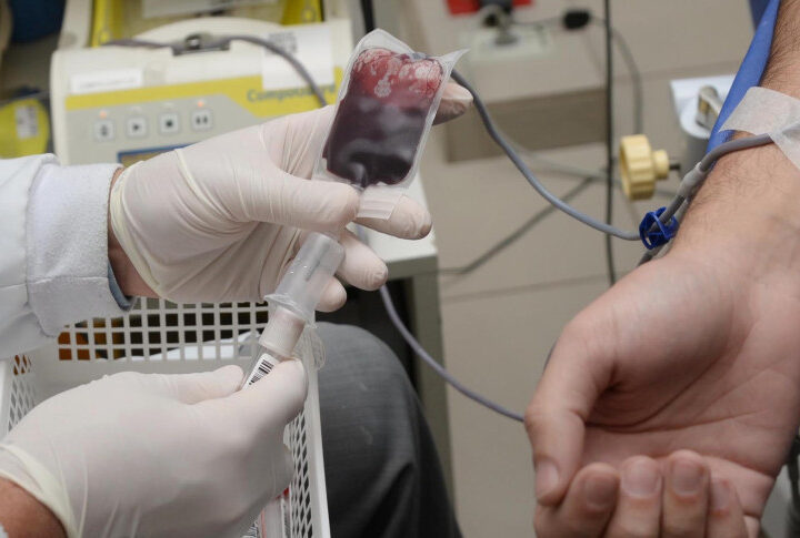 Junho Vermelho: Campanha Urgente Busca Reforçar Estoques de Sangue em Período Crítico