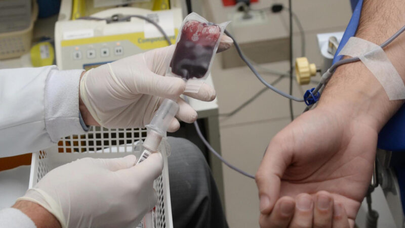 Junho Vermelho: Campanha Urgente Busca Reforçar Estoques de Sangue em Período Crítico