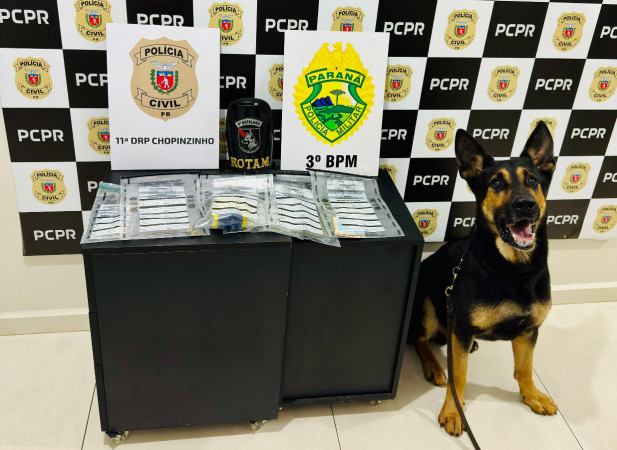 PCPR e PMPR prendem homem em flagrante por tráfico de drogas em Chopinzinho