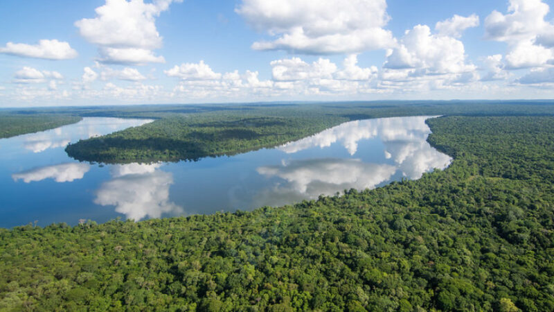 Combate a Invasores Aquáticos: Projeto de Lei Busca Eliminar Espécies Exóticas no Rio Iguaçu