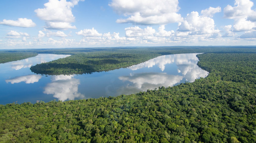Combate a Invasores Aquáticos: Projeto de Lei Busca Eliminar Espécies Exóticas no Rio Iguaçu