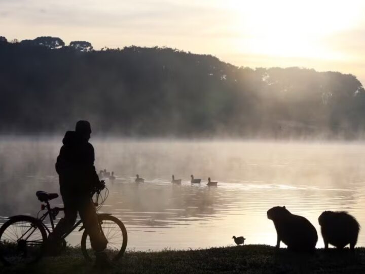 Paraná terá mais duas ondas de frio com geadas em julho, diz Simepar
