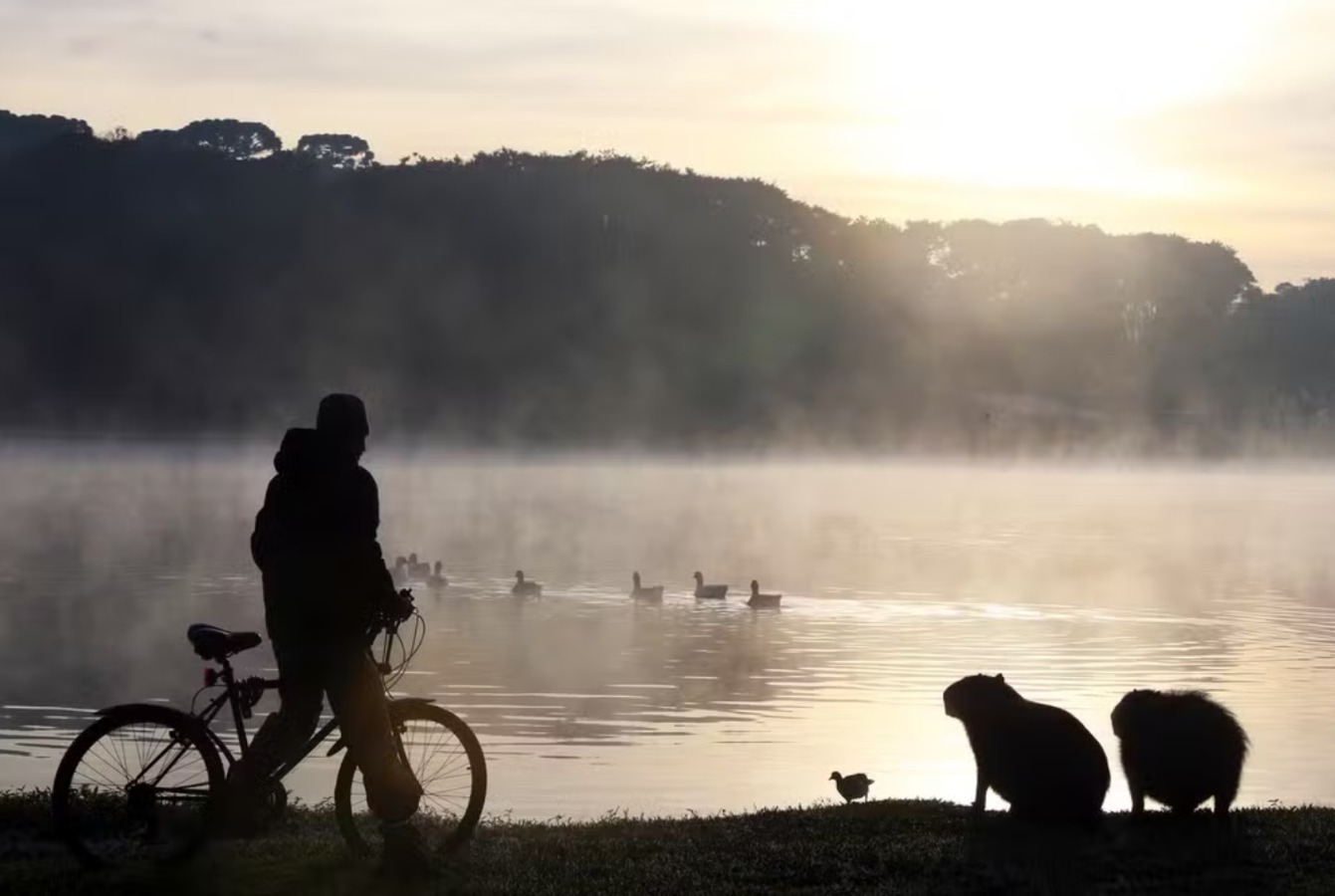 Paraná terá mais duas ondas de frio com geadas em julho, diz Simepar
