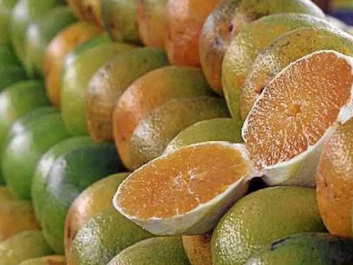 Exceções do tarifaço representam 43,4% do valor exportado aos EUA