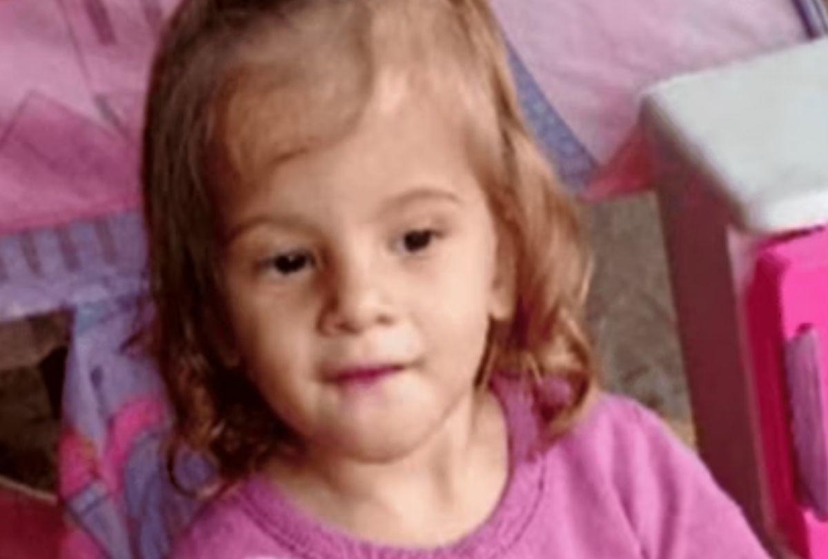 Tragédia em Hortolândia: Pitbull da Família Ataca e Mata Criança de 2 Anos