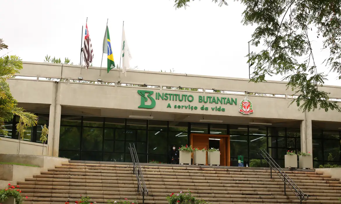 Butantan Avança na Criação de Vacina contra Gripe Aviária e Aguarda Aprovação para Testes em Humanos