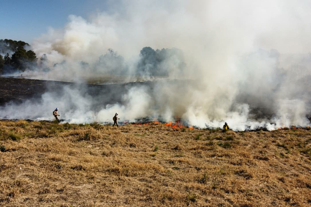 Queimadas em Terrenos Baldios Disparam Incêndios no Paraná: Alerta do Corpo de Bombeiros