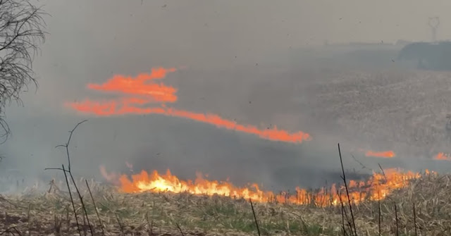 Incêndio Devasta Área Rural em Cascavel: Chamas Consomem Lavoura e Mobilizam Bombeiros