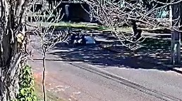 Câmera flagra colisão entre motocicletas em Cascavel; um jovem ficou ferido