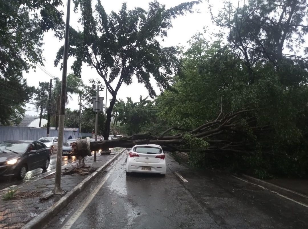 São Paulo em Alerta Máximo: Ciclone e Veranico Ameaçam o Estado