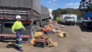Tragédia na BR-277: Pedestre Morre Atropelado por Caminhão Desgovernado em Guarapuava