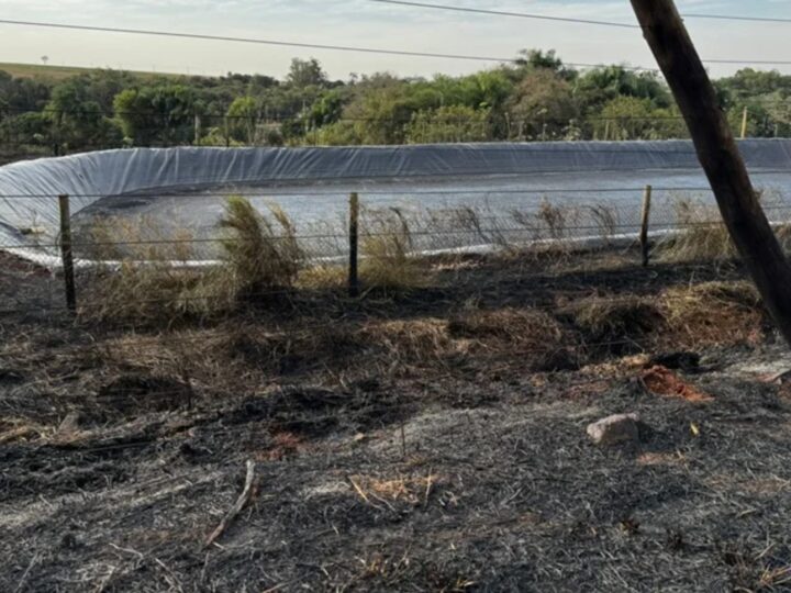 Família vive momentos de pânico ao tentar conter incêndio em propriedade rural em Nova Santa Rosa