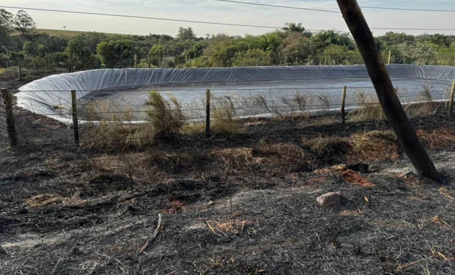 Família vive momentos de pânico ao tentar conter incêndio em propriedade rural em Nova Santa Rosa