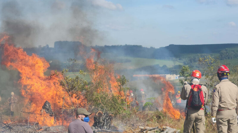 Agosto Cinza no Paraná Alerta para Crescimento Alarmante de Incêndios Florestais