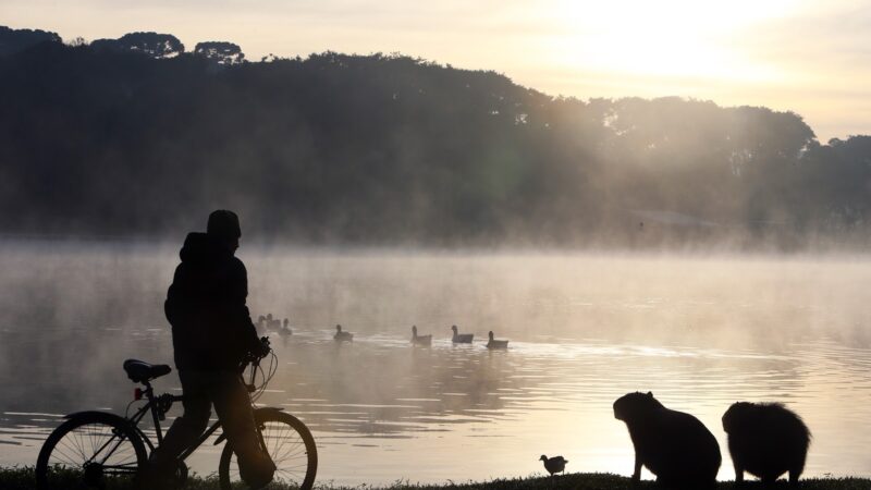 Com nova massa de ar polar, temperaturas negativas voltam ao Paraná no fim de semana