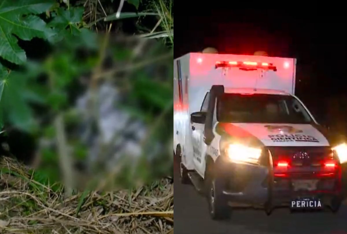 Corpo Amarrado e Coberto com Cal é Descoberto em Matagal de Foz do Iguaçu