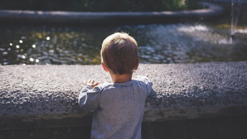 Tragédia em Danville: Menino de 8 anos Morre Atacado por Cão da Família