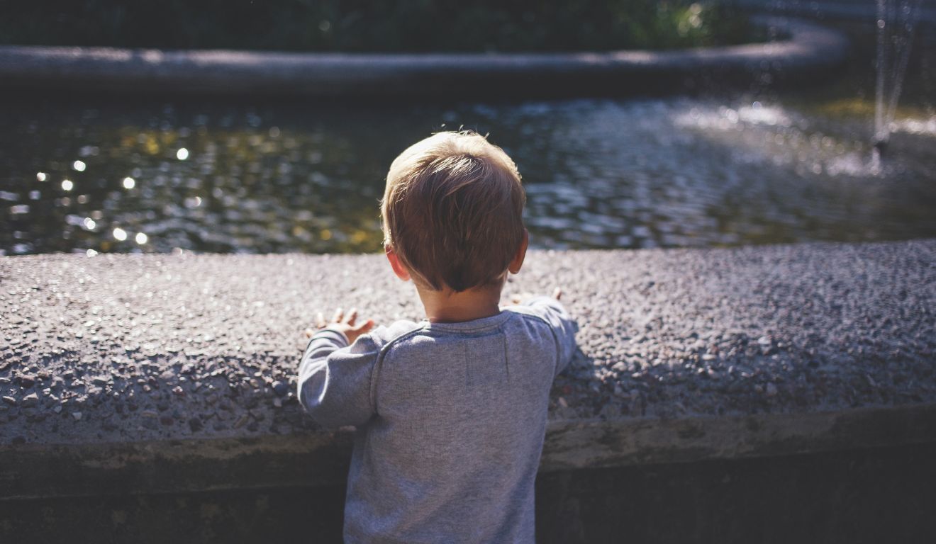 Tragédia em Danville: Menino de 8 anos Morre Atacado por Cão da Família