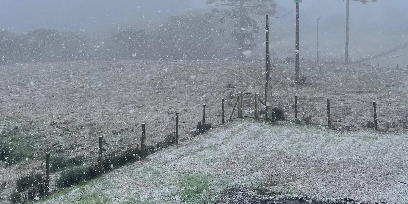 Inverno Rigoroso: Neve Surpreende o Rio Grande do Sul e Cidades Registram Temperaturas Negativas