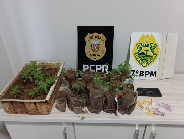 PCPR e PMPR prendem homem em flagrante por tráfico de drogas em Nova Olímpia