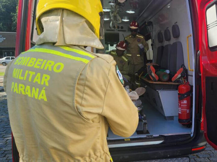 Ataques de Cães Disparam no Paraná: Bombeiros Atendem a Centenas de Casos, Maioria em Residências