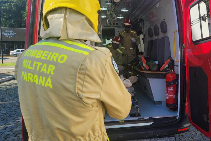 Ataques de Cães Disparam no Paraná: Bombeiros Atendem a Centenas de Casos, Maioria em Residências
