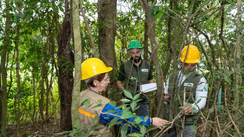 Itaipu Investe em Reflorestamento e Triplica Diversidade Florestal em Áreas de Influência