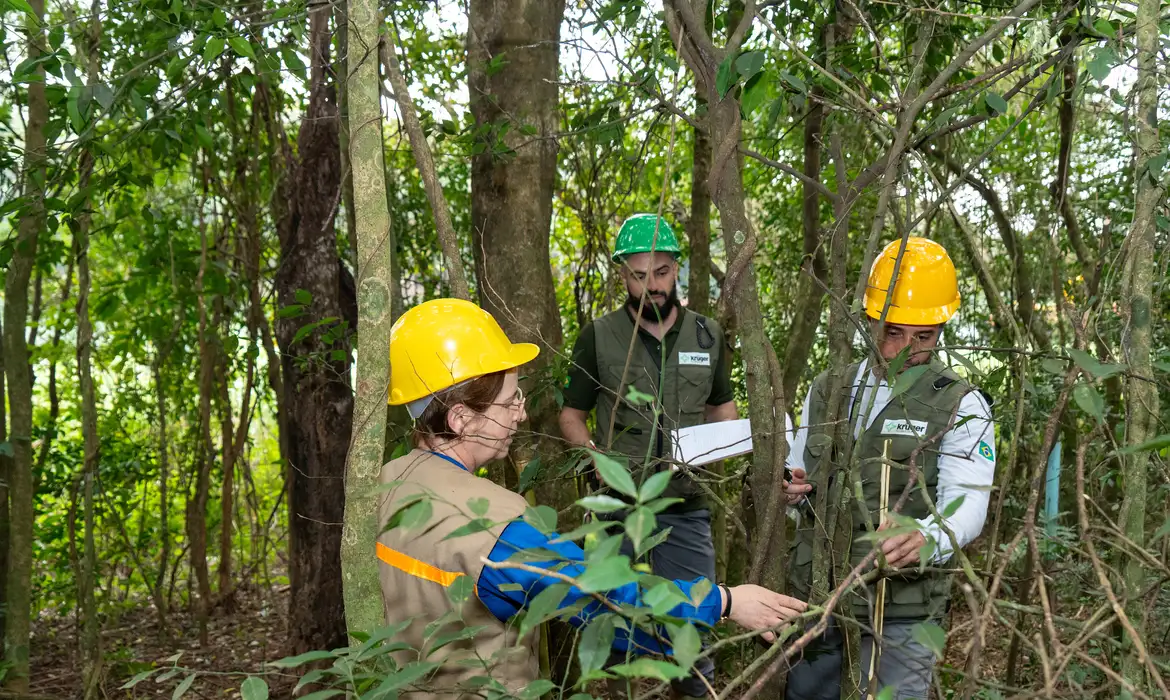 Itaipu Investe em Reflorestamento e Triplica Diversidade Florestal em Áreas de Influência