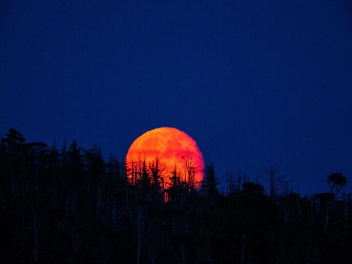 Espetáculo Celestial Negado ao Brasil: Eclipse Lunar Total Ilumina os Céus do Mundo