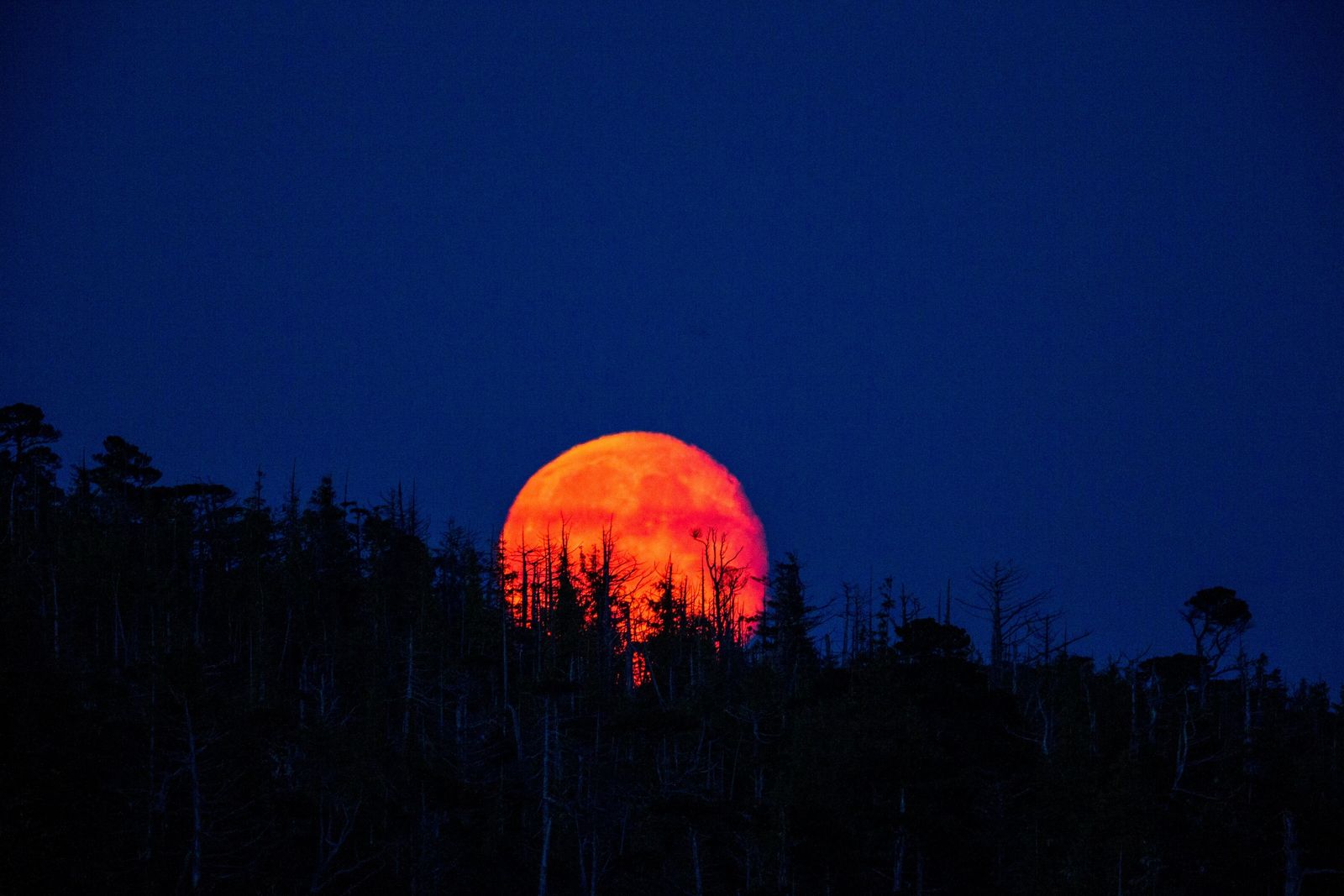 Espetáculo Celestial Negado ao Brasil: Eclipse Lunar Total Ilumina os Céus do Mundo