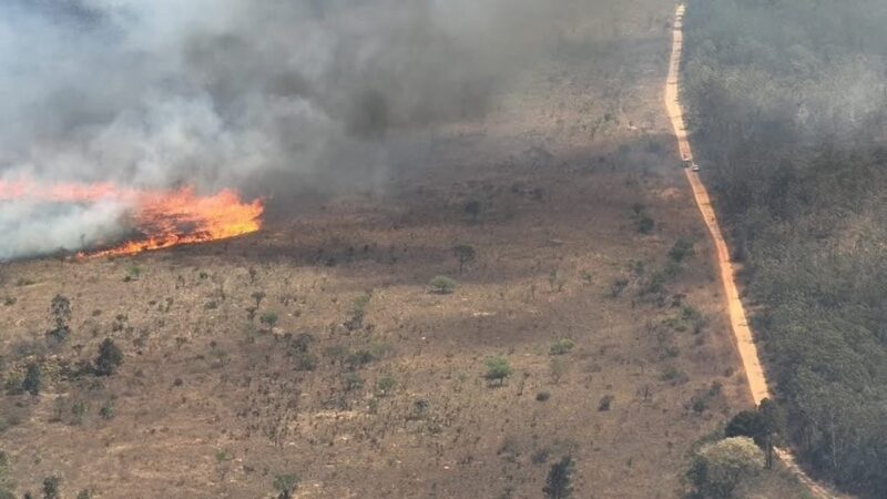 Chamas Devastam Quase 6% da Floresta Nacional de Brasília; Incêndios Atingem Outras Áreas do DF
