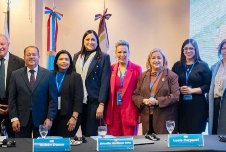 Deputada do Paraná Leva Experiência da Procuradoria da Mulher para Debate Internacional na Argentina