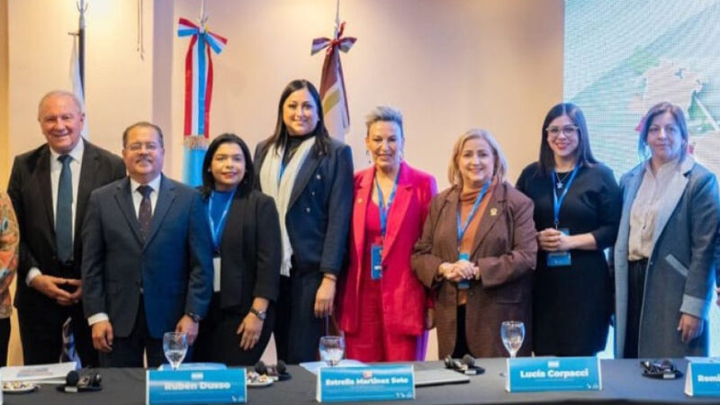 Deputada do Paraná Leva Experiência da Procuradoria da Mulher para Debate Internacional na Argentina